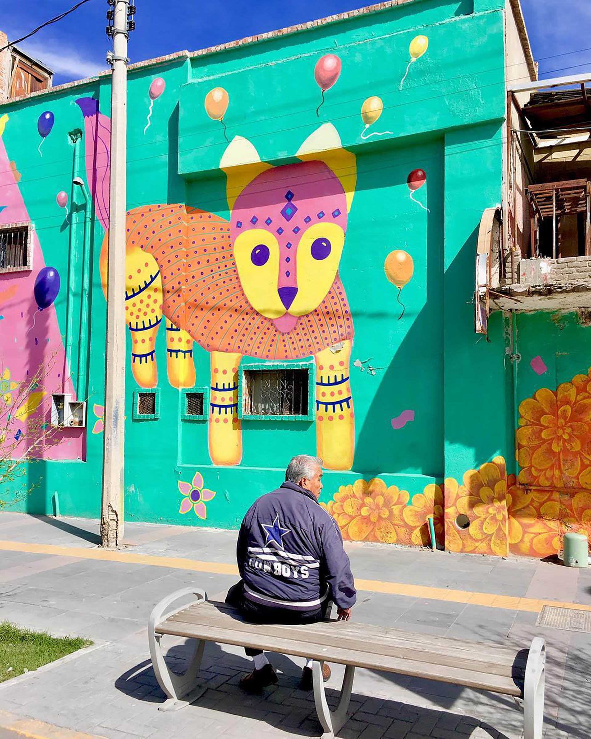 En el barrio dinámico transitan tanto punks y hippies como jóvenes profesionales. Allí se encuentra también la Zona Rosa, un lugar gay-friendly, con bulliciosas calles, bares con terraza y animadas discotecas