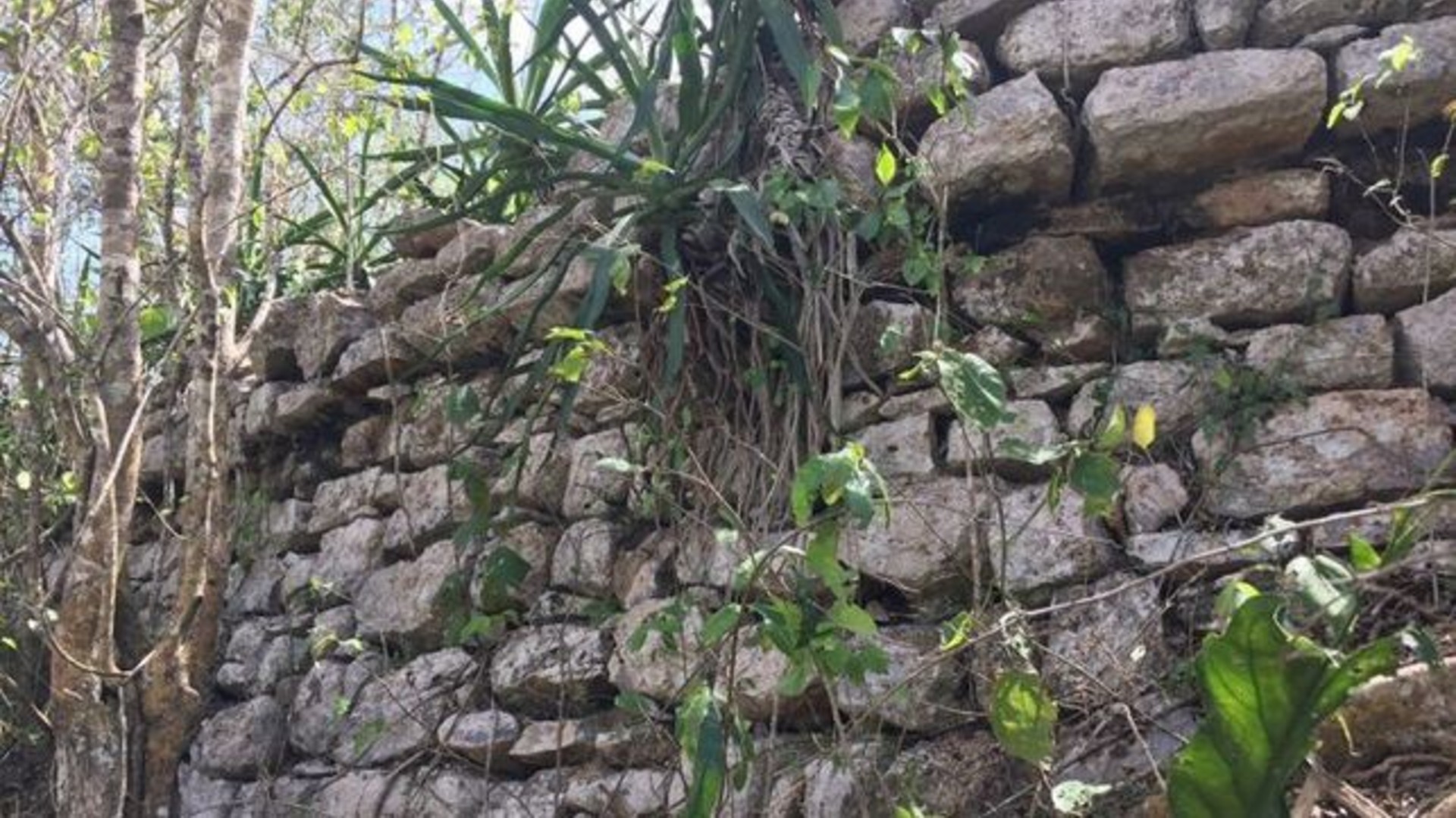 Detalle de una sección de la parte superior de una pirámide de 37 metros de alto que se encuentra en X´baatun este 19 de septiembre de 2019 en el municipio de Tekal de Venegas, Mérida Foto: EFE