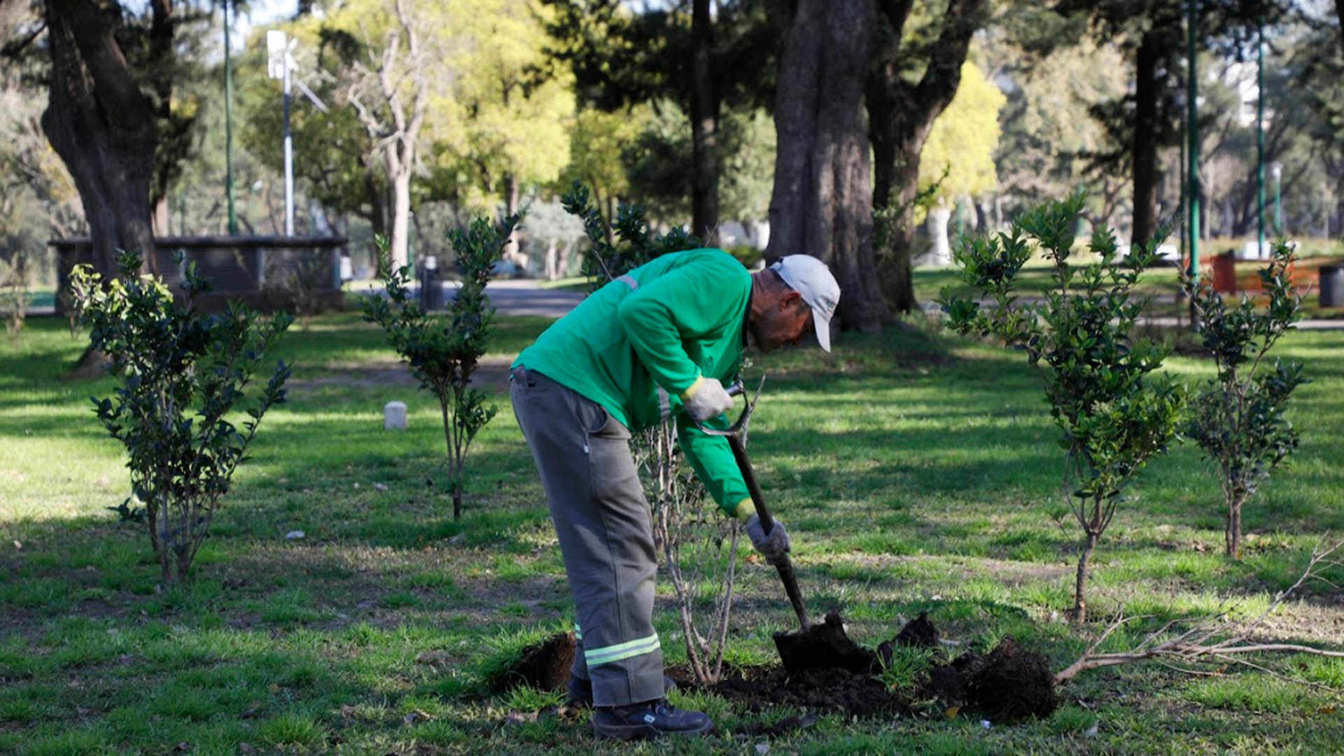 El Parque Avellaneda está ubicado en la zona sur de la Ciudad delimitado por la Av. Directorio, Lacarra, la calle Monte y Florentino Ameghino, en el barrio de Avellaneda, que le dio nombre al Parque. Es el pulmón verde del barrio que lleva su nombre y una alternativa para que los vecinos del suroeste de la ciudad celebren la primavera en un entorno de gran valor cultural y natural. A lo largo del parque se pueden encontrar una gran variedad de especies de aves, árboles y arbustos, junto a compañías de teatro callejero y espacios de formación cultural que conviven dentro del último casco de estancia que se mantiene en pie dentro de la Ciudad.