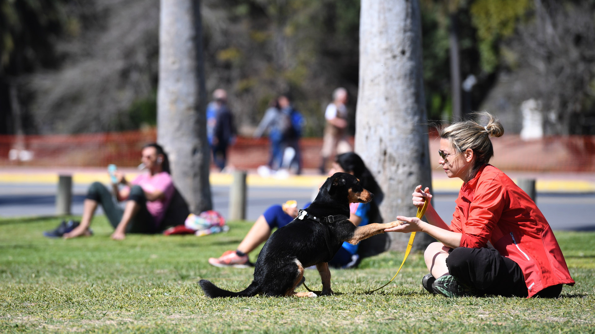 Los perros también formaron parte del festejo de la primavera para estar al aire libre y disfrutar de un día soleado
