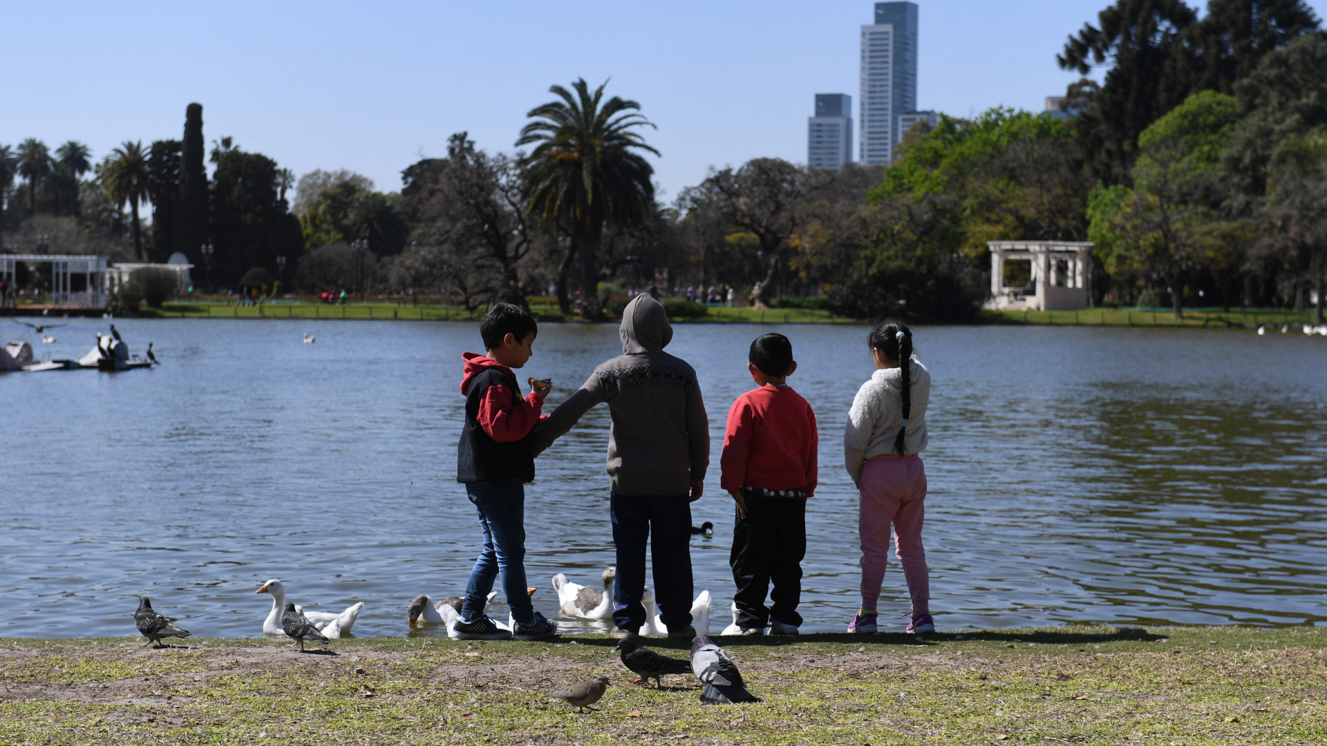 Los más chiquitos de la familia se entretienen alimentando a los patos que están en el lago del Rosedal de Palermo