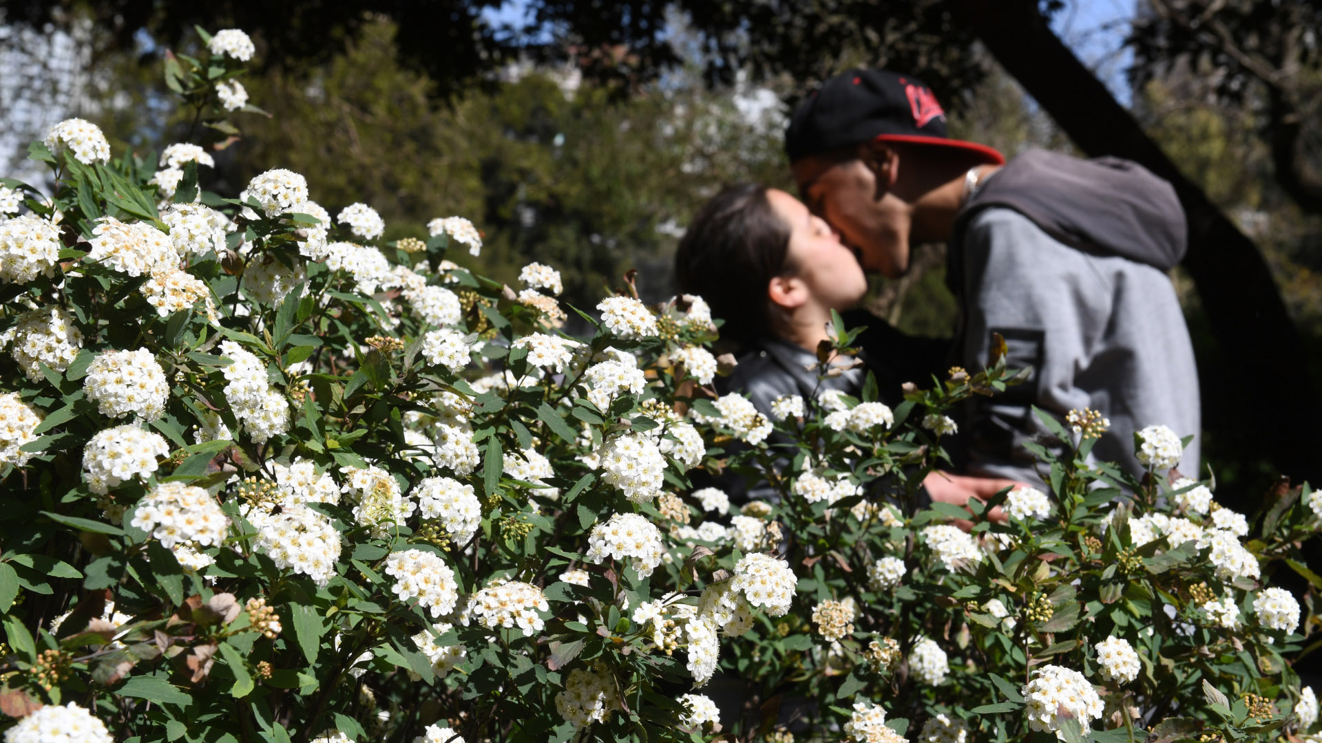 No solo las familias y amigos fueron a festejar el Día de la Primavera, sino también las parejas fueron a festejar la llegada del clima templado