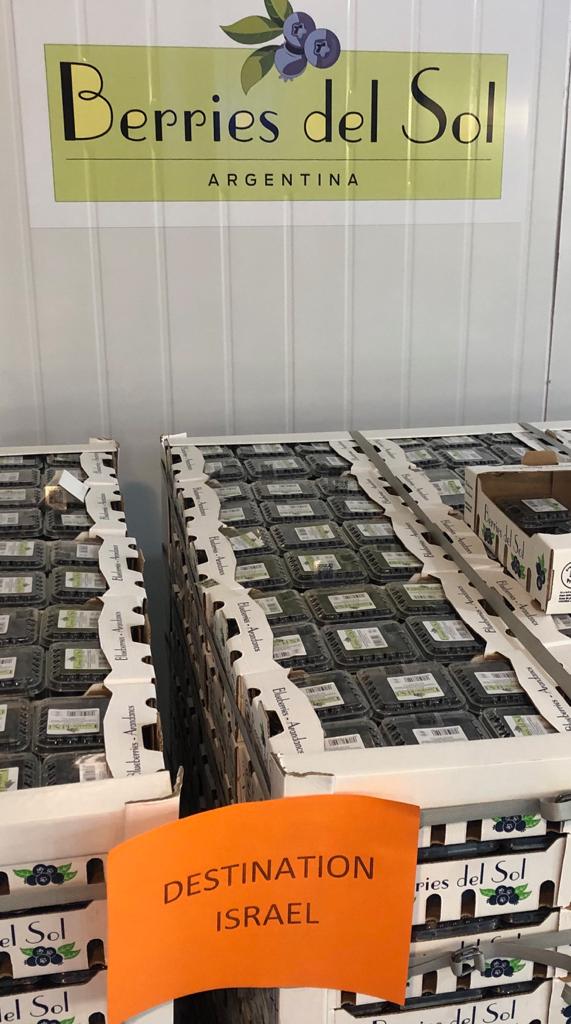 El envío consistió en 4 pallets y lo realizó la empresa Berries del Sol, desde Colonia Ayuí, provincia de Entre Ríos