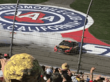 Nascar5.gif