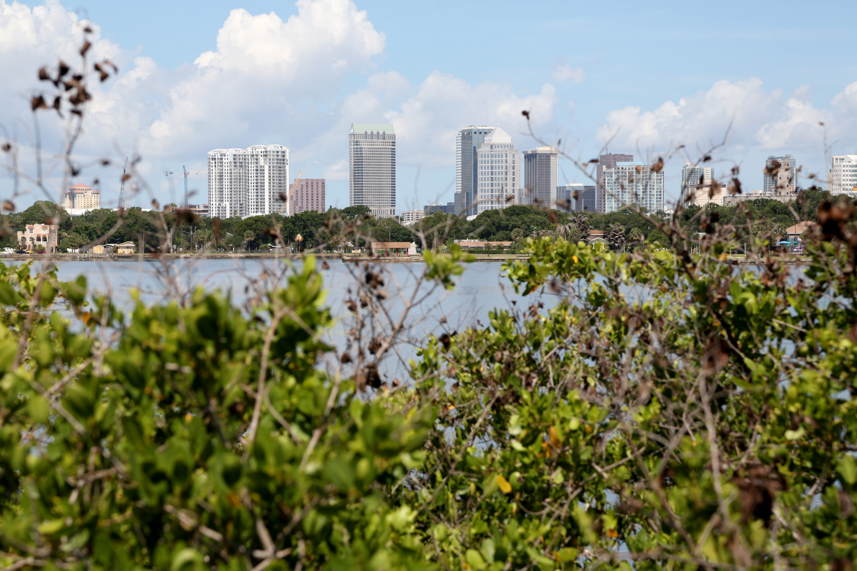 Plastic pollution in Tampa Bay is bigger than straws. Here’s what local