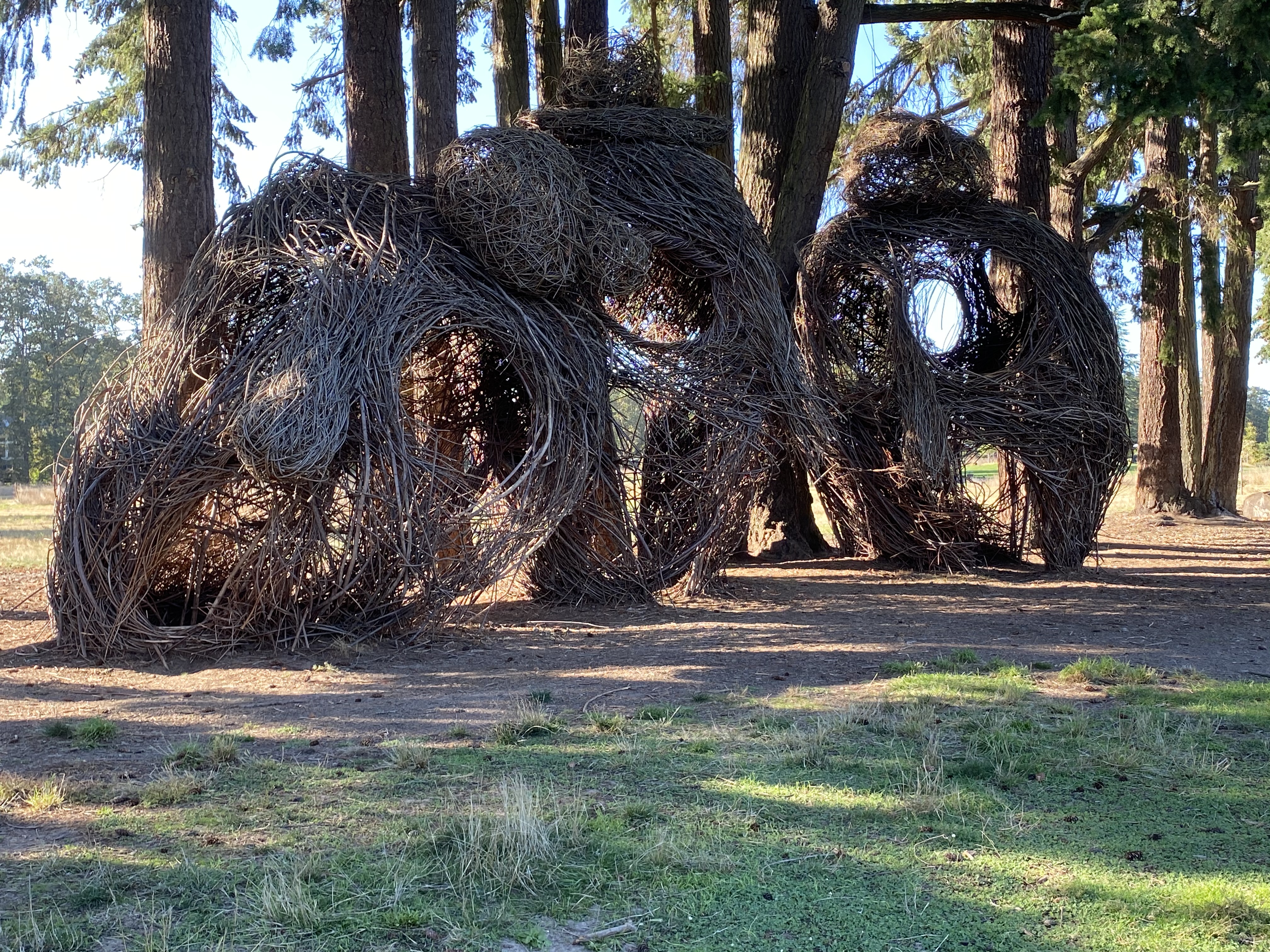 Hike of the Week: A Walk Through Orenco Woods Nature Park Puts You