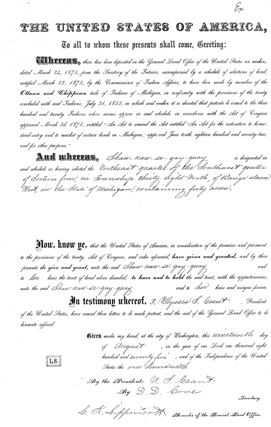 GLO land record MI3250__.293-38n-11w-4-nesw — p. 1