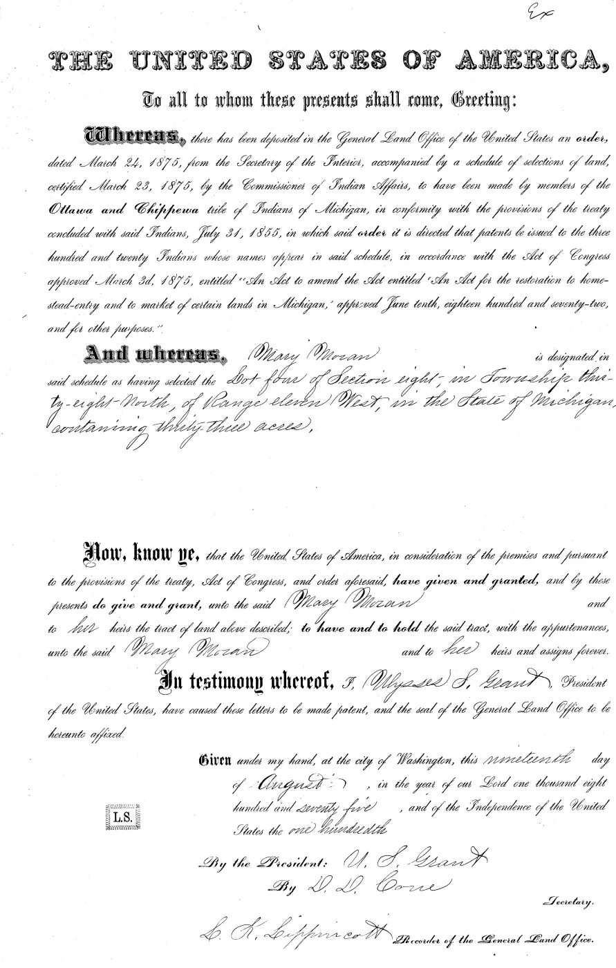 GLO land record MI3250__.299-38n-11w-8-4 — p. 1