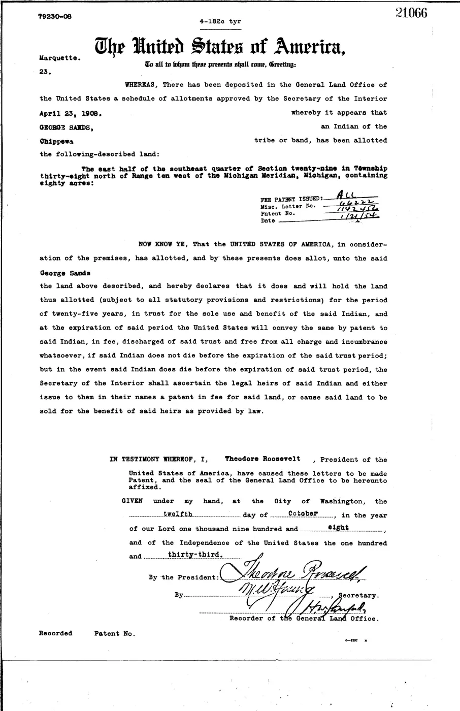 GLO land record 21066-38n-10w-29-e-se — p. 1