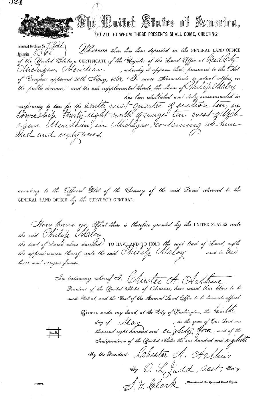 GLO land record MI3080__.324-38n-10w-10-sw — p. 1