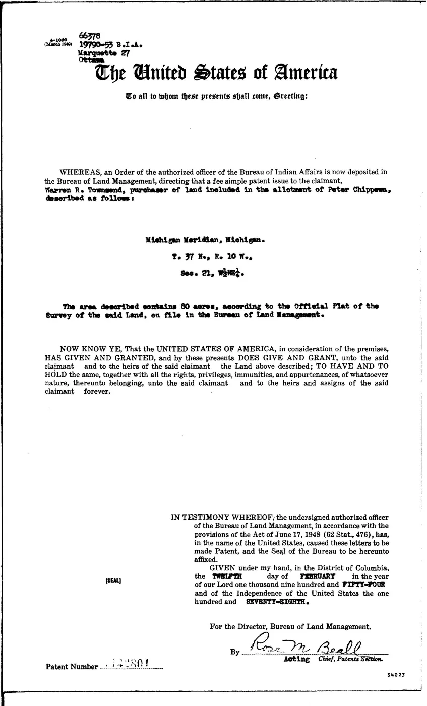 GLO land record 1142801-37n-10w-21-w-ne — p. 1