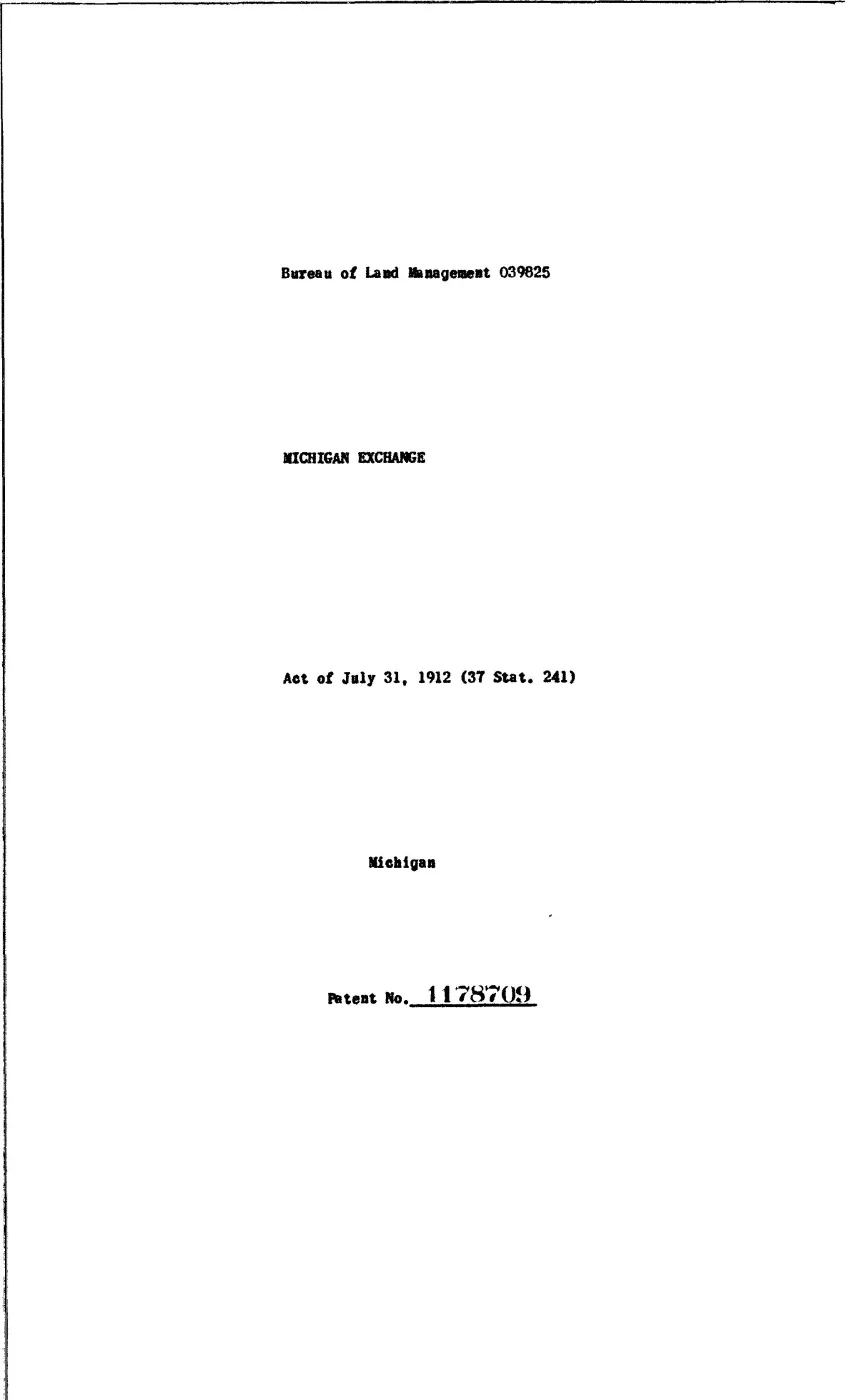GLO land record 1178709-38n-10w-28-nesw — p. 1