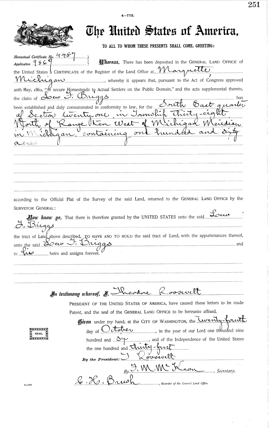 GLO land record MI3320__.251-38n-10w-21-se — p. 1