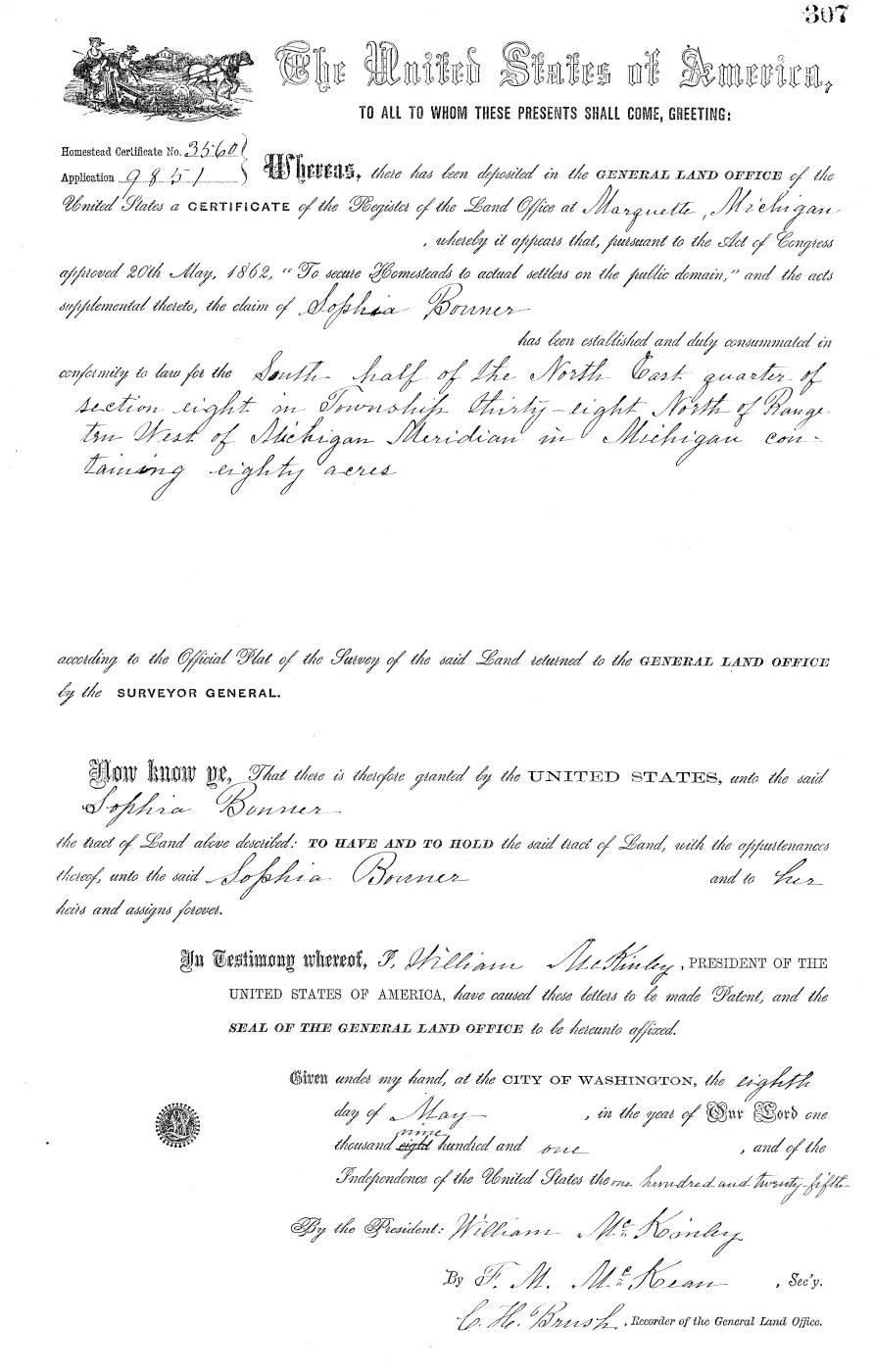 GLO land record MI2540__.307-38n-10w-8-s-ne — p. 1
