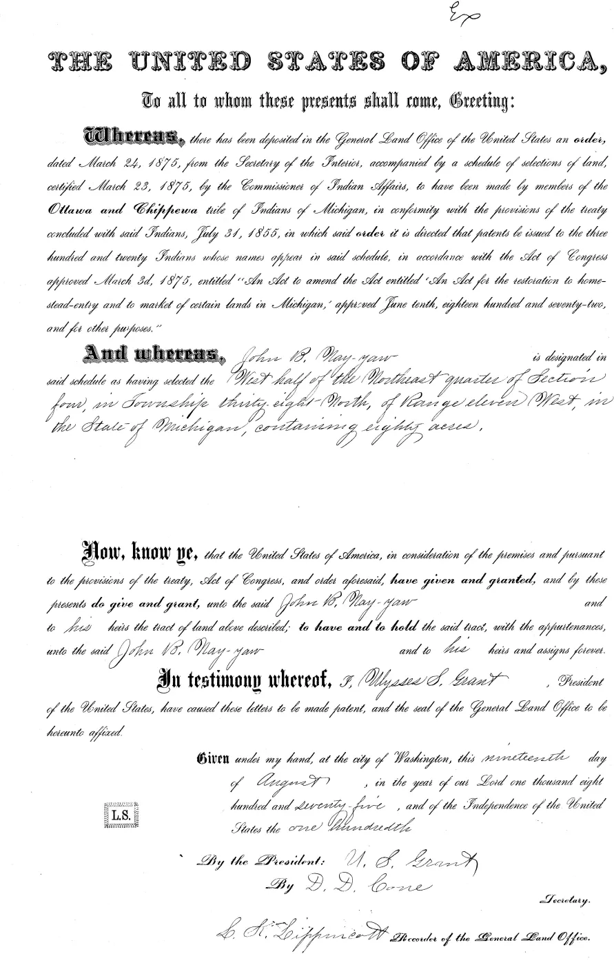 GLO land record MI3250__.289-38n-11w-4-w-ne — p. 1