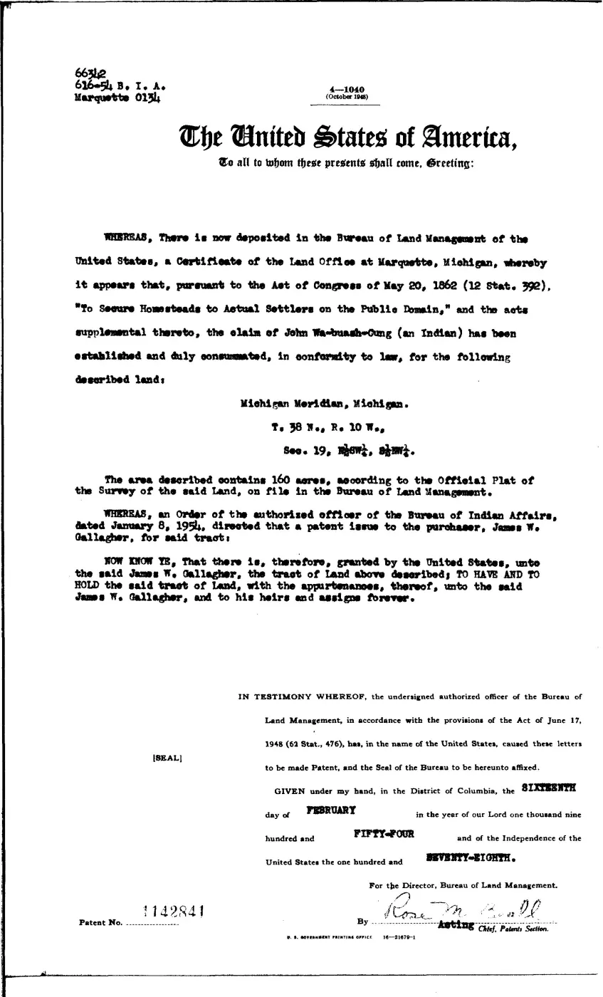 GLO land record 1142841-38n-10w-19-e-sw — p. 1