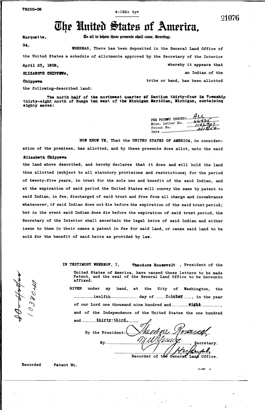 GLO land record 21076-38n-10w-34-n-nw — p. 1