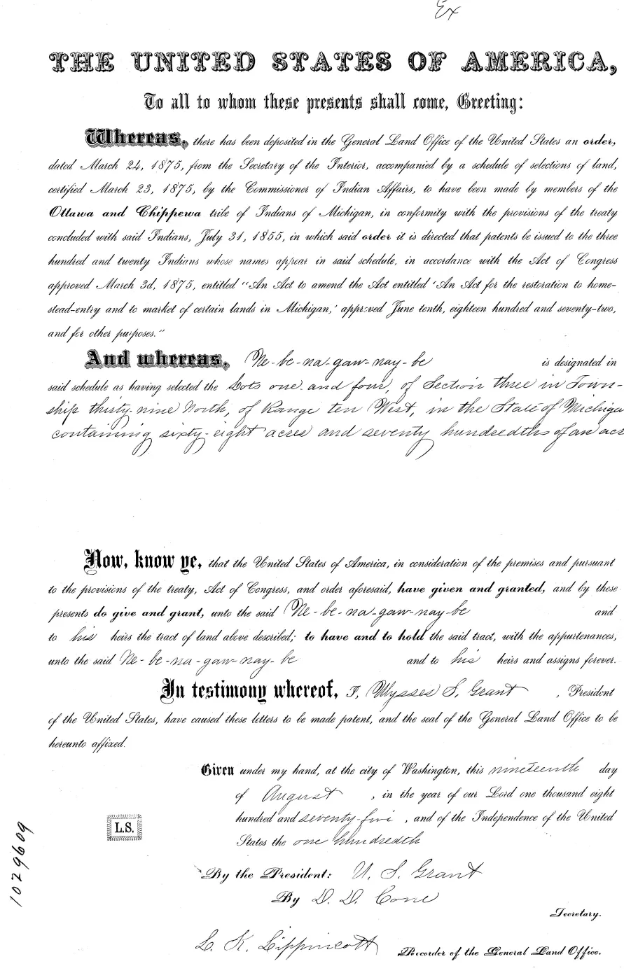 GLO land record MI3250__.273-39n-10w-3-4 — p. 1
