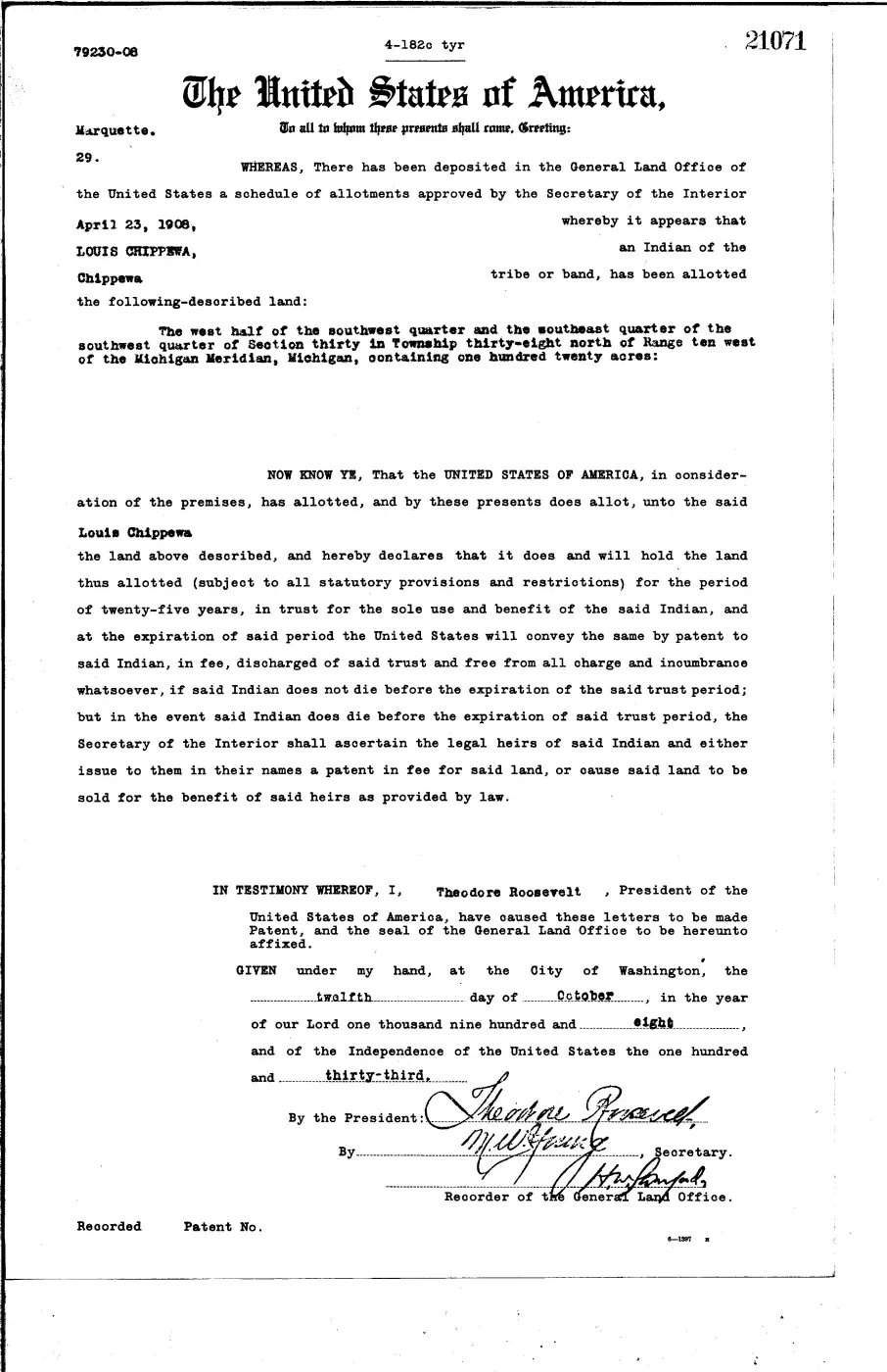 GLO land record 21071-38n-10w-30-w-sw — p. 1