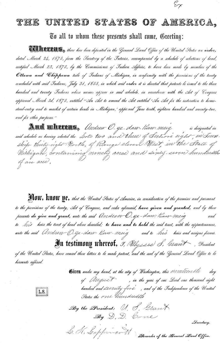 GLO land record MI3250__.301-38n-11w-8-3 — p. 1