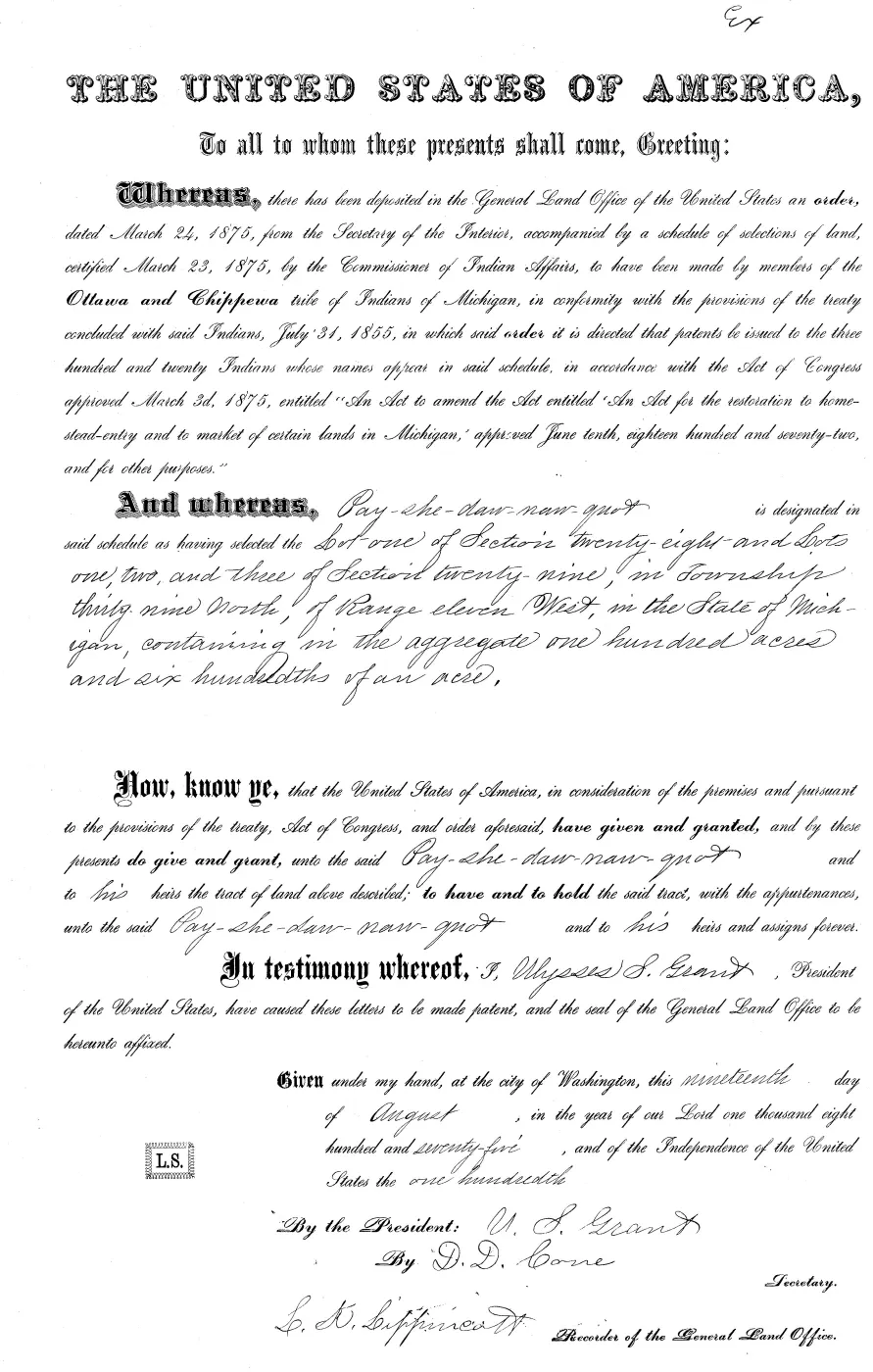 GLO land record MI3250__.305-39n-11w-29-1 — p. 1