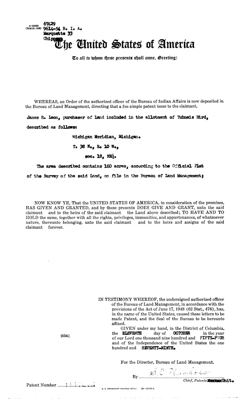 GLO land record 1147276-38n-10w-18-ne — p. 1