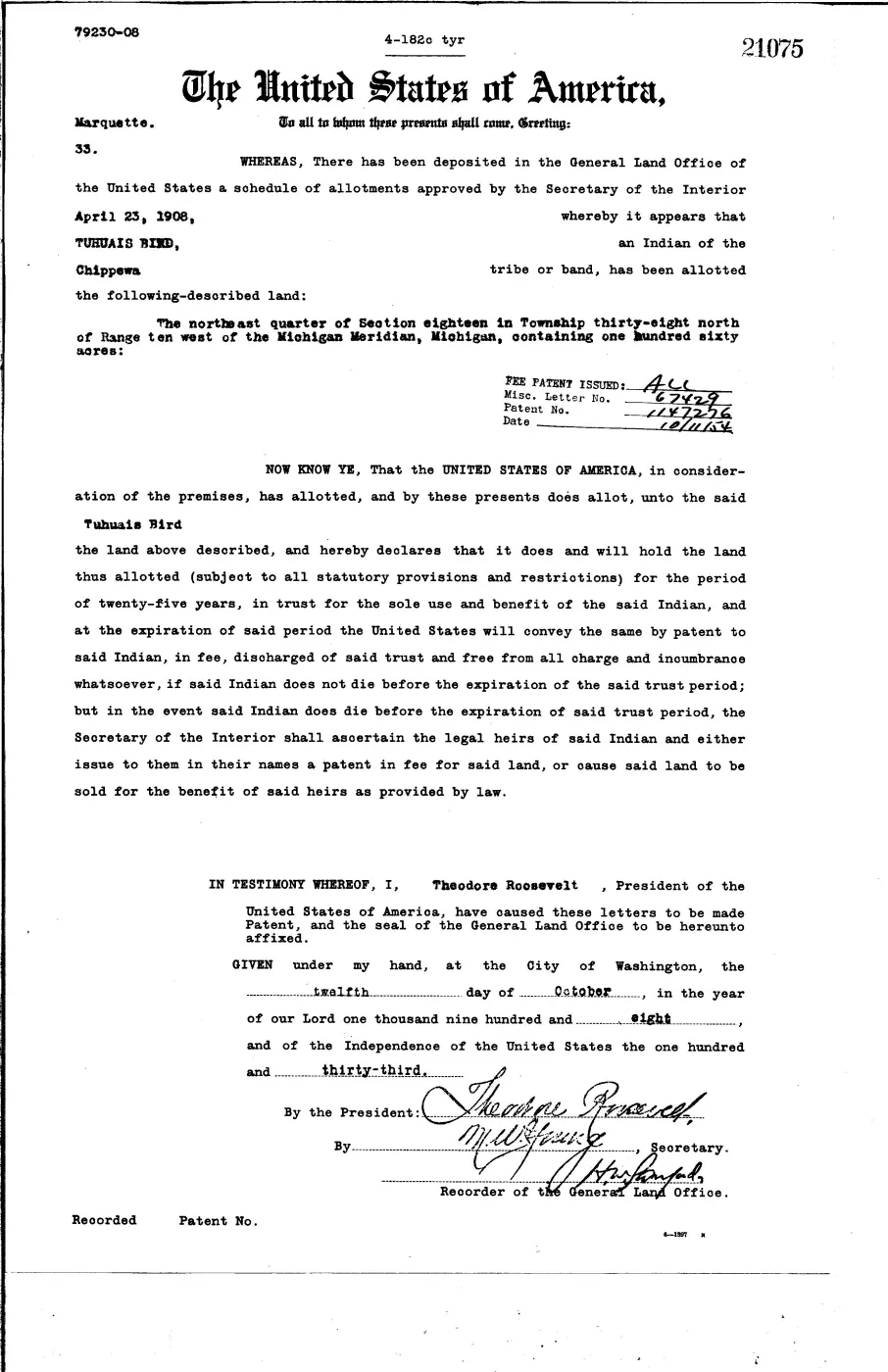 GLO land record 21075-38n-10w-18-ne — p. 1