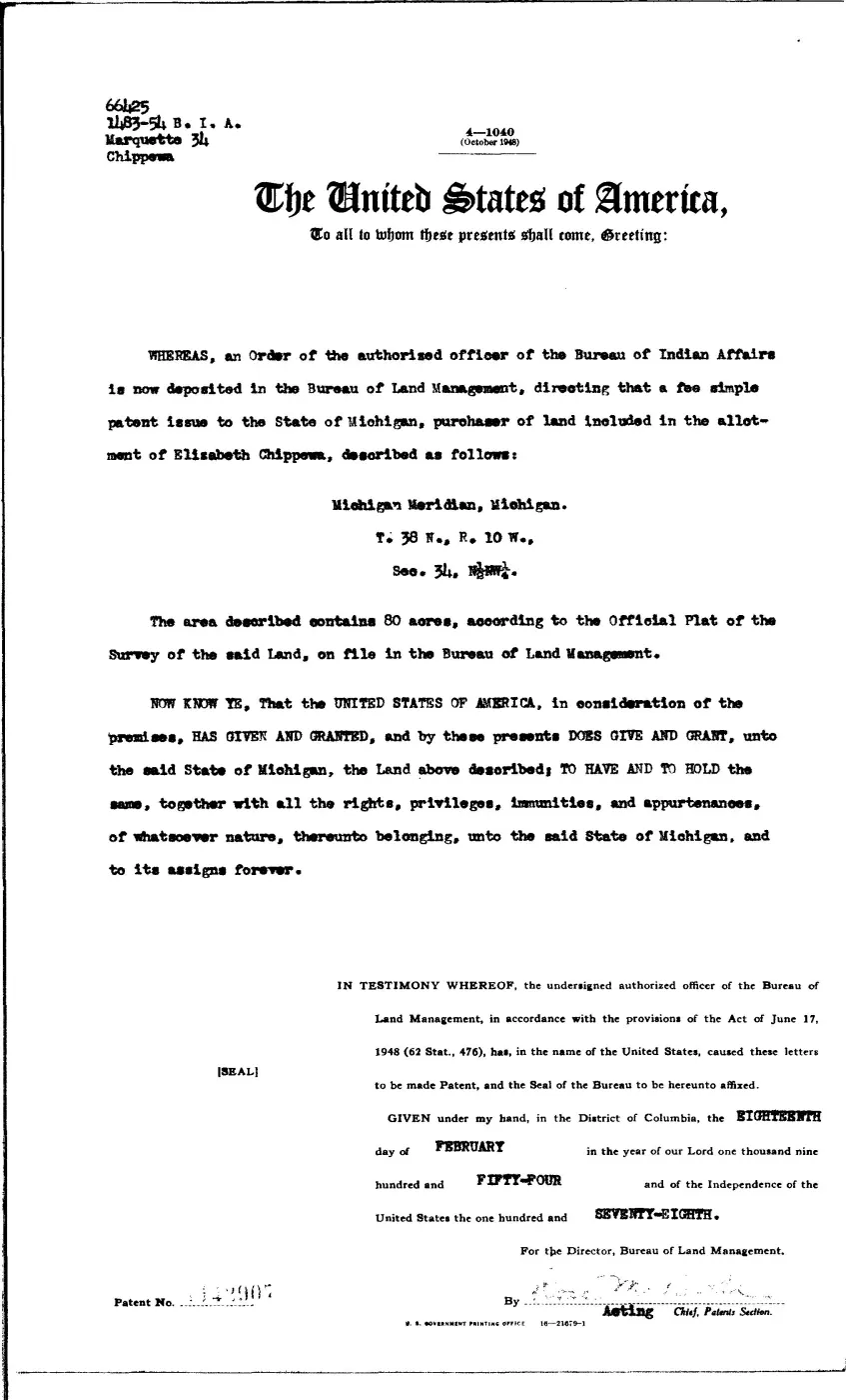 GLO land record 1142907-38n-10w-34-n-nw — p. 1