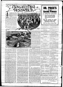 Strang treasure traditions — p. 6