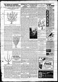 Strang treasure traditions — p. 7