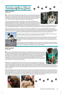 Beaver Island Performing Arts Alliance — p. 35
