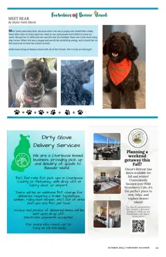 Beaver Island Community Center — p. 43