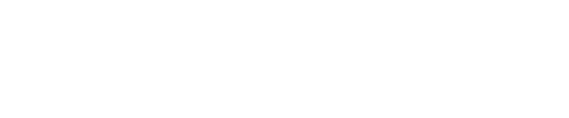 Wealth of Opportunity