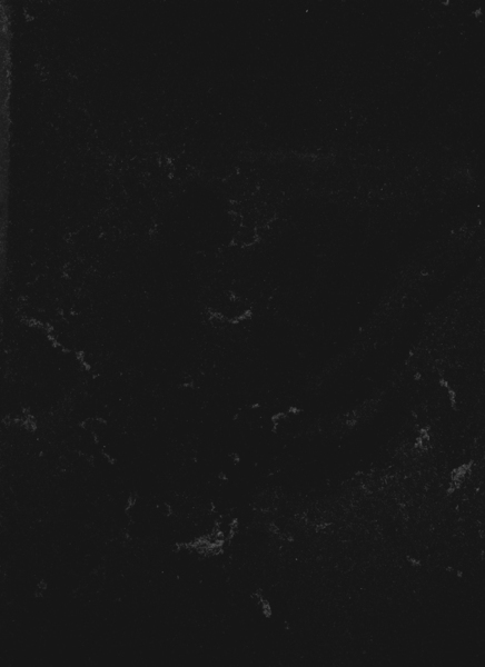 Grey, 2010