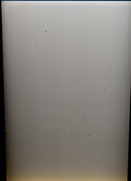 Grey, 2010