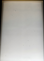 Grey, 2010