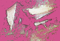 Colors Preceding Photographs (woodshed), 2008