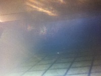 Thumb f7aef8ed7df3b8c203d85b8549ffd229