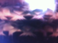 Thumb 71477dec466f93ac4921c7ecd40afdd1
