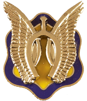 6th Squadron, 17th Cavalry Regiment