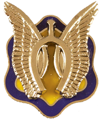 1st Squadron, 17th Cavalry