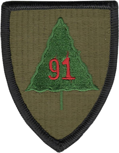 3rd Brigade, 91st Division (TS)