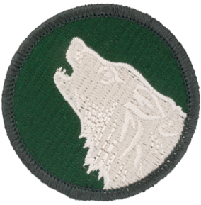 104th Division (Training)