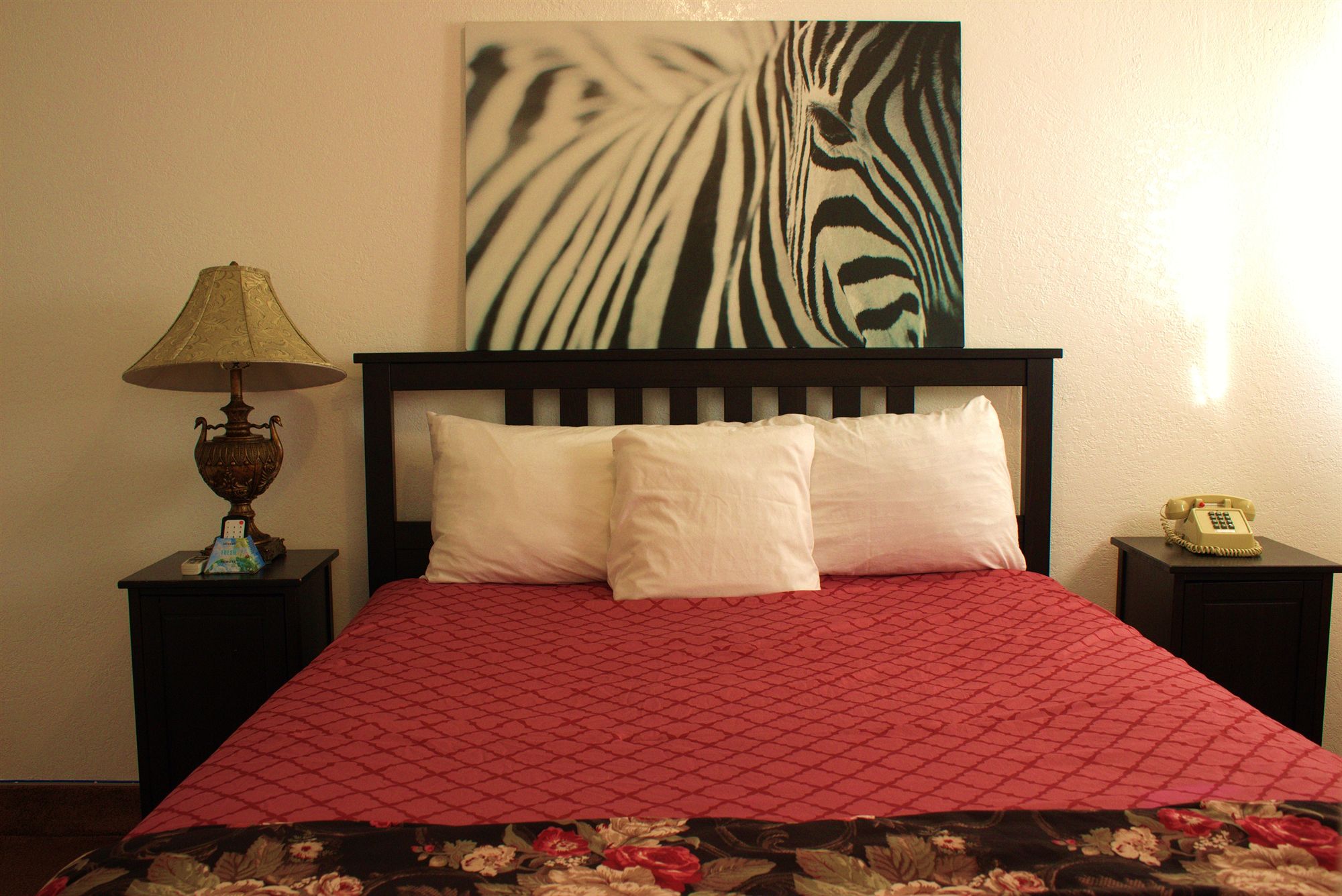 Adventurer Hotel Los Angeles LAX