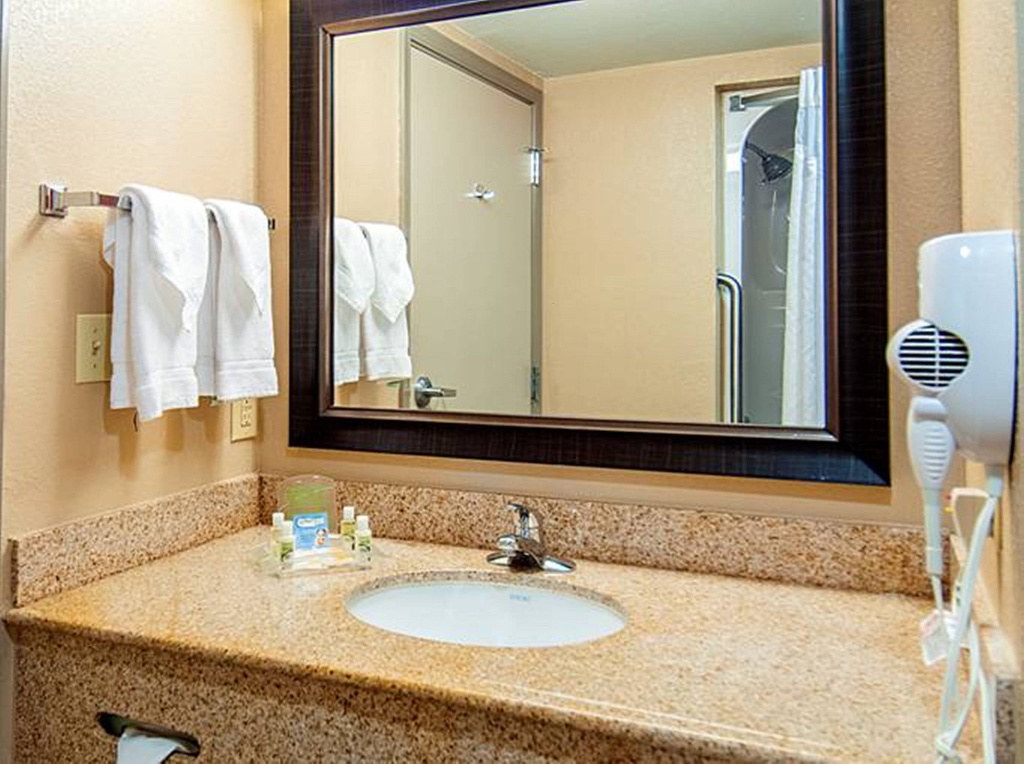 Discount Coupon for Holiday Inn Hotel & Suites Opelousas in Opelousas