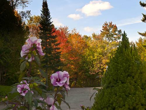 TUCKER HILL INN in Waitsfield, VT