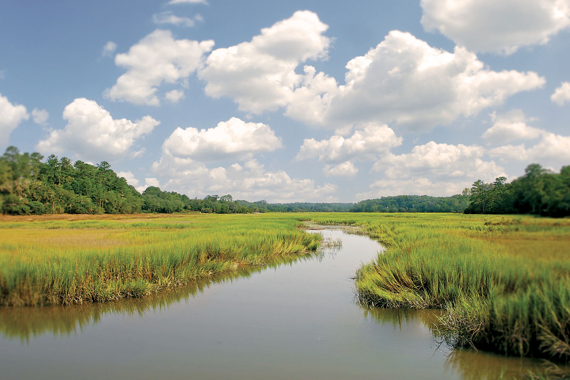 The Inn at Palmetto Bluff, a Montage Resort in Bluffton, SC