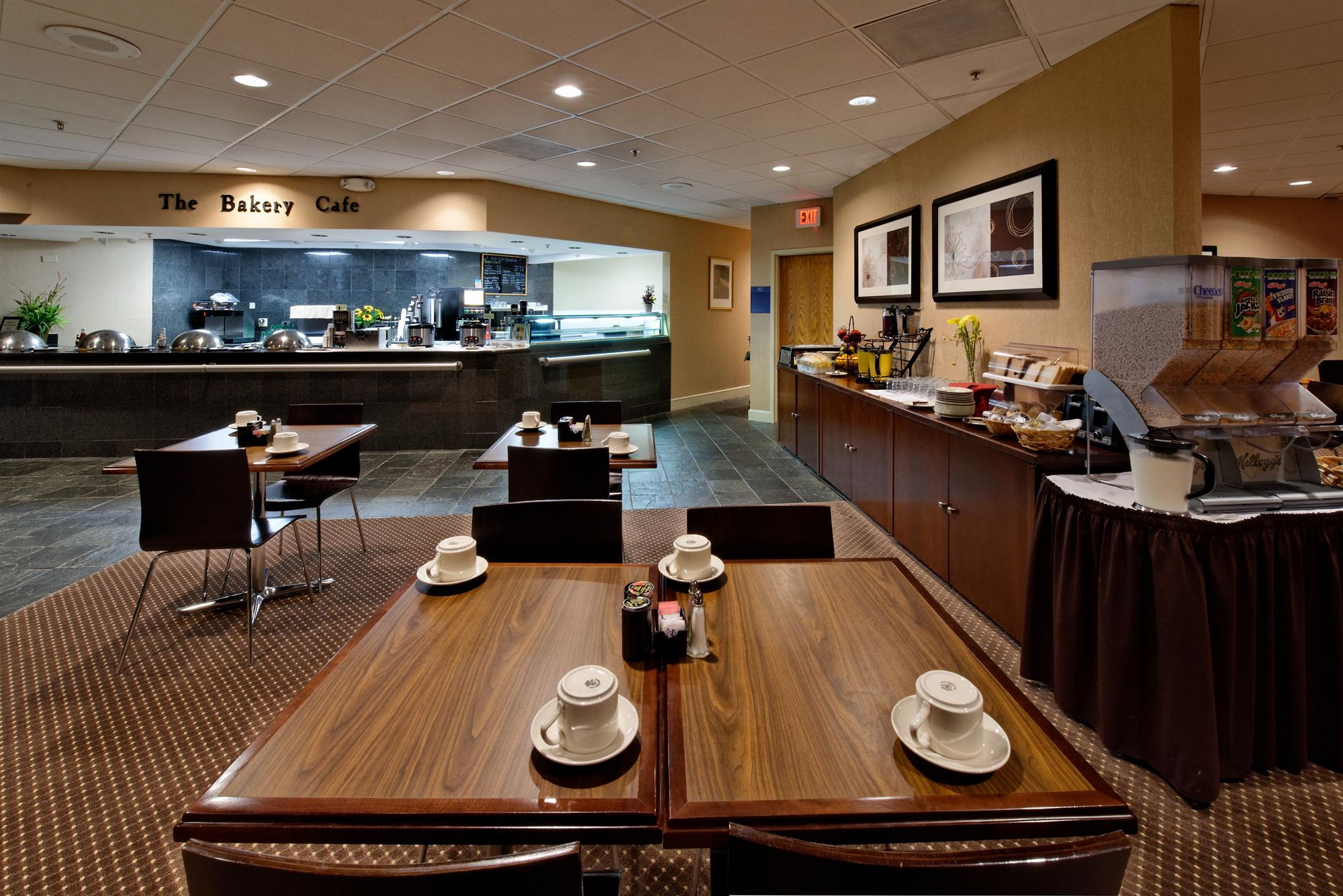 Discount Coupon for Radisson Hotel Chicago O'Hare in Des Plaines