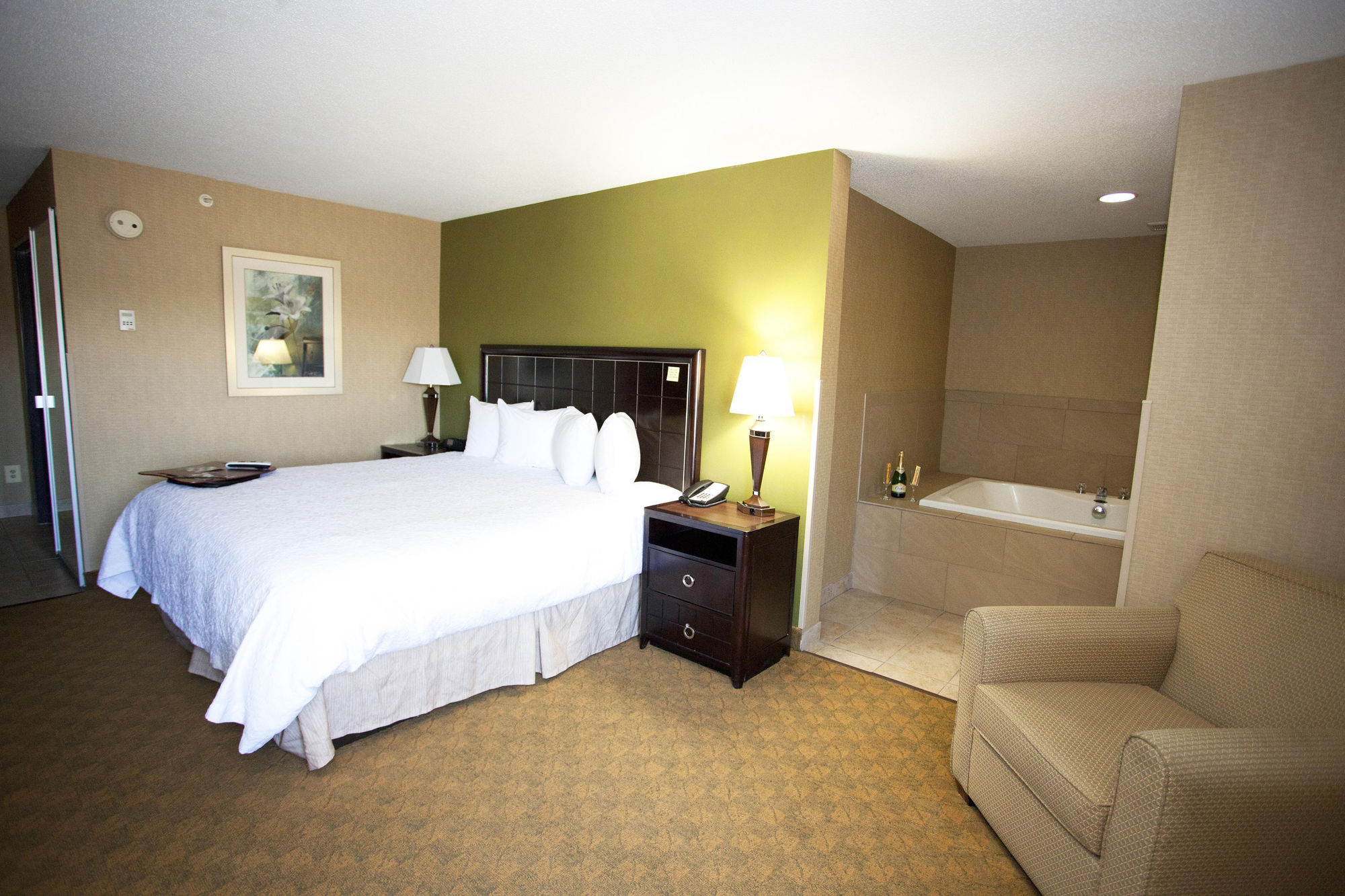 Discount Coupon for Hampton Inn Port Huron in Port Huron, Michigan