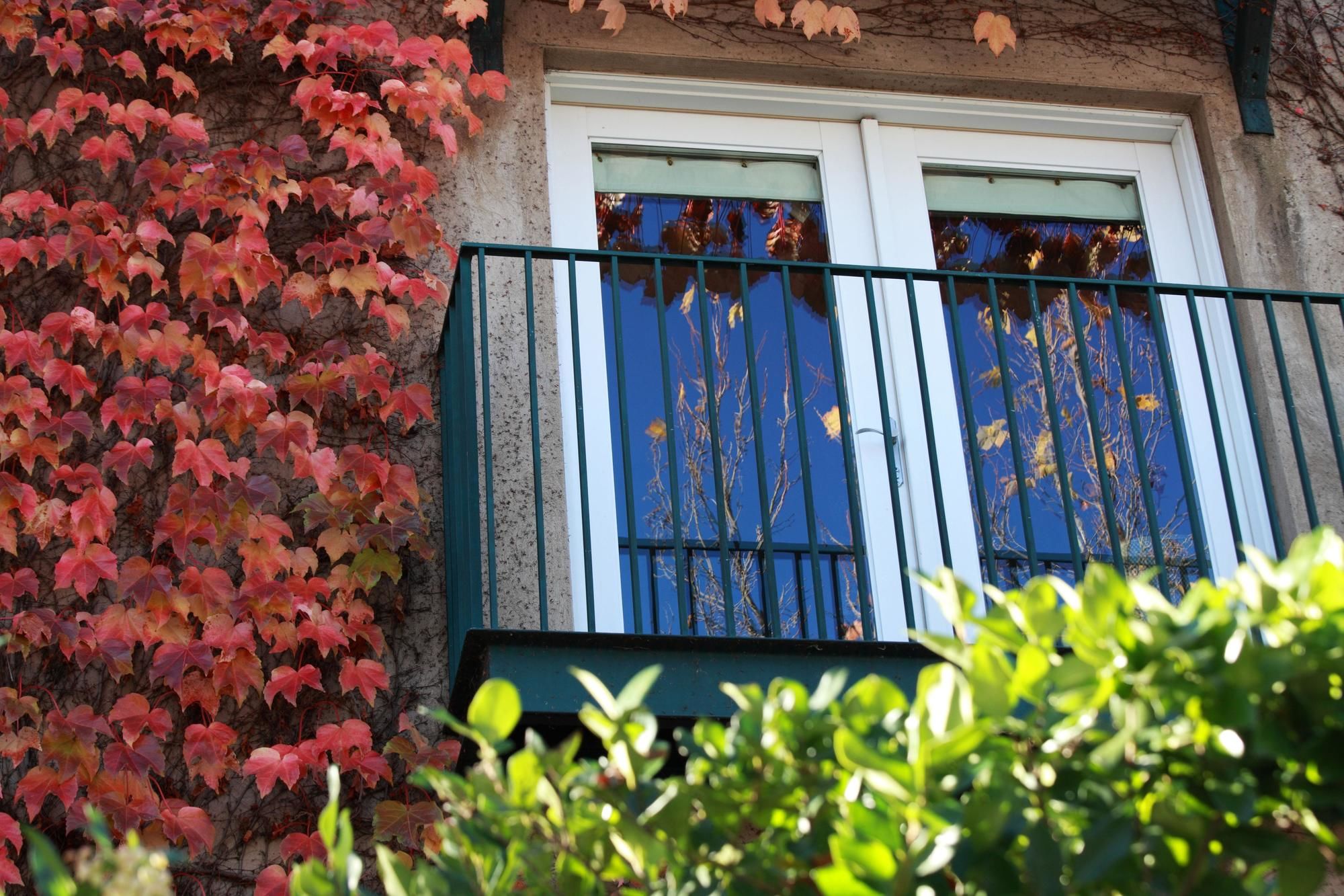 Southbridge Napa Valley